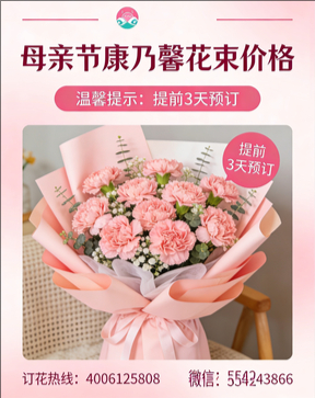 湖州德清县花店母亲节康乃馨花束