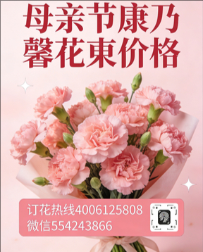 湖州德清县花店母亲节康乃馨花束